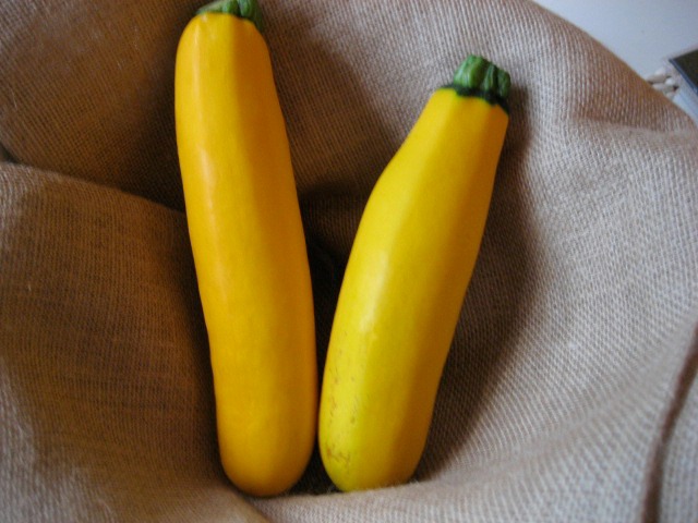 yellow zucchini squash